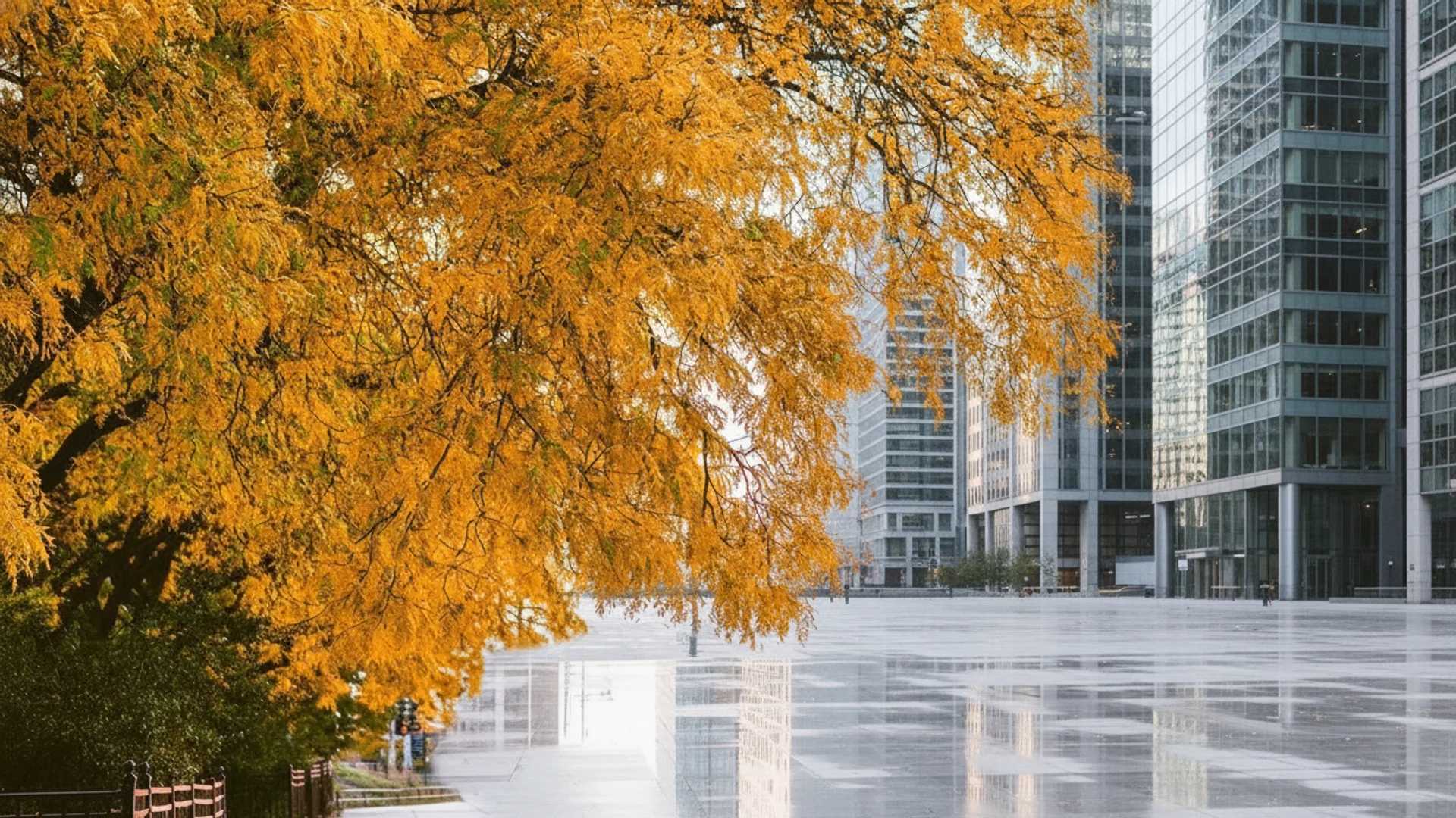 A large tree with bright orange autumn leaves hangs over a wet, reflective plaza with tall glass buildings.
