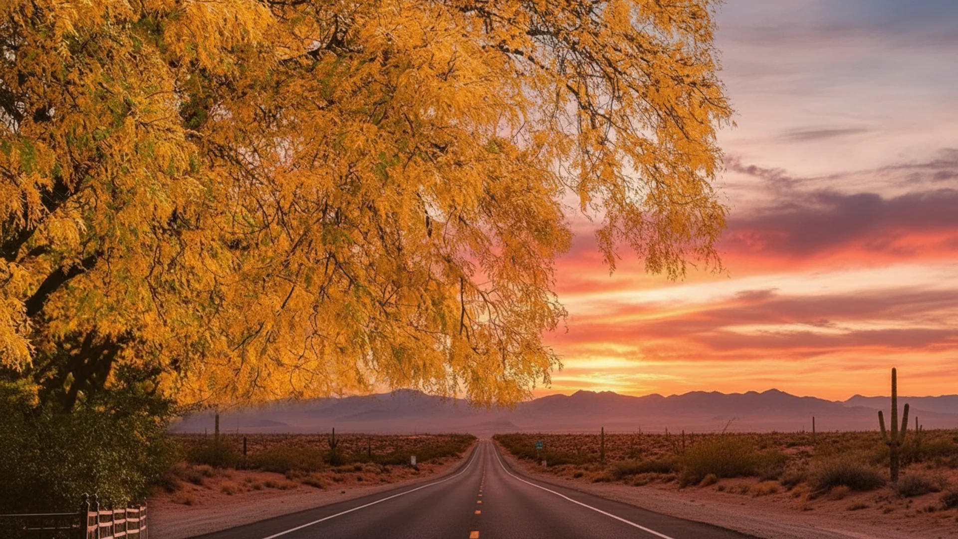 an electric car on a tree-lined road in warm autumn light