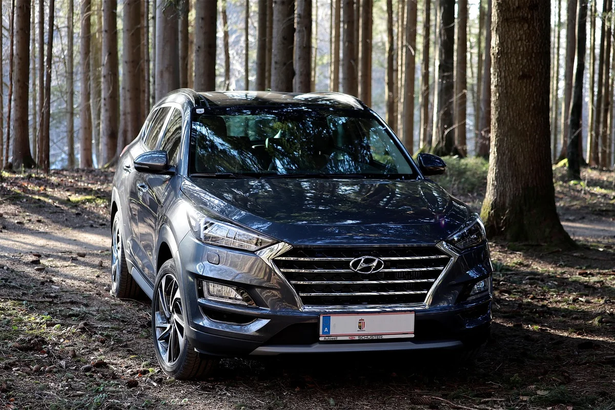 A dark gray Hyundai Tucson SUV is parked on a dirt path in a forest with tall, bare trees.