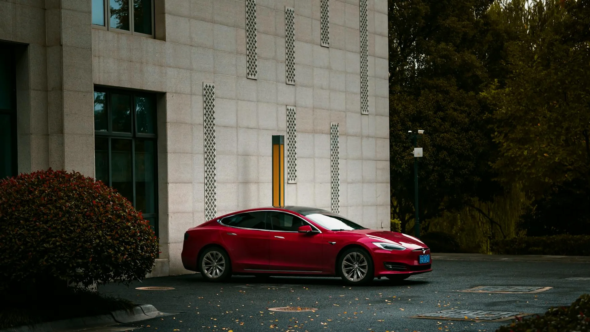 BYD IS Aiming for Growth This Year — 13% Growth in China?