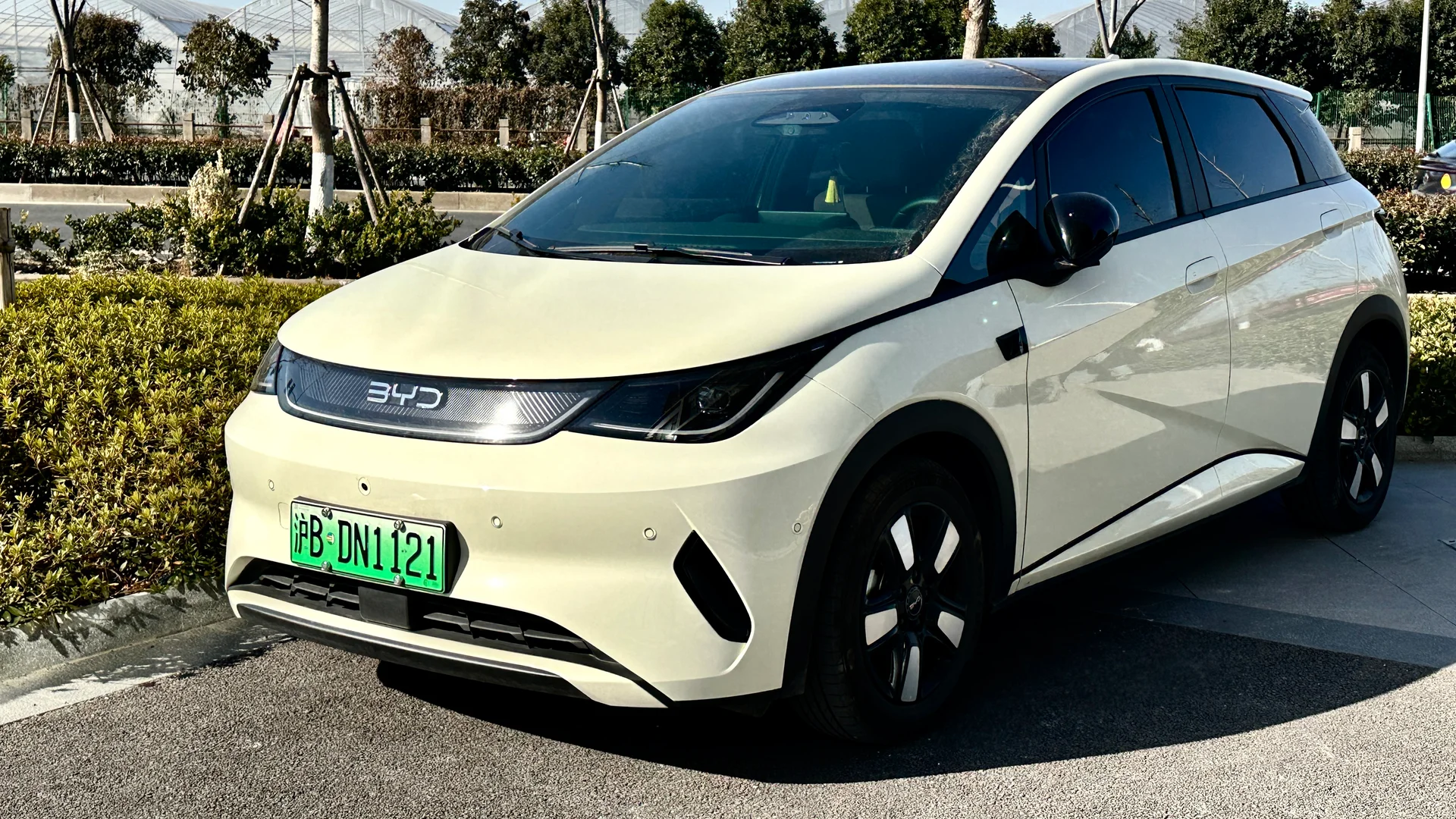BYD Dolphin Cargo e-Van: What Canadian Fleet Buyers Need to Know